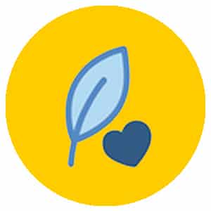 Biocompatibility dental ceramic crown